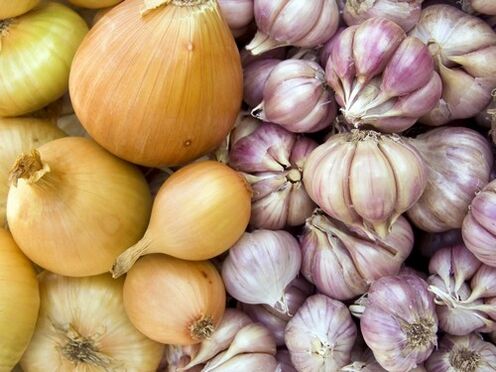 Garlic and onion - home remedies for the treatment of helminthic invasion