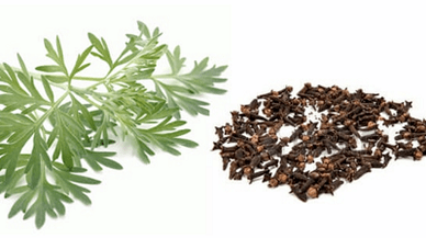 Cloves and wormwood for eliminating parasites from the body